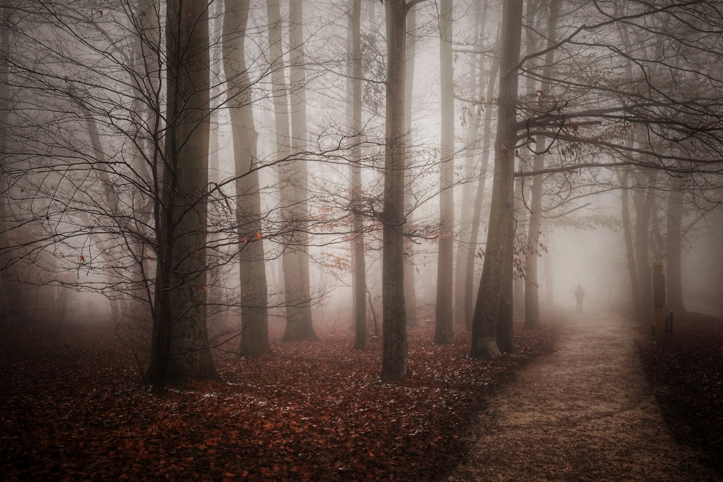 Atmospheric Universes: Designing for Immersion
